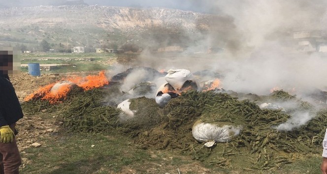Diyarbakır’da ele geçirilen 30 ton uyuşturucu imha edildi