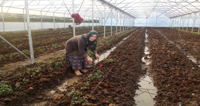 Samsun’da Genç Çiftçi desteği alanlardan yüzde 76’sı kadın