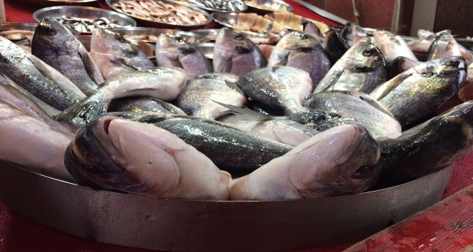 Deniz balıklarındaki yüksek fiyatlar kültür balıklarını da etkiledi