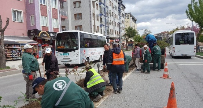 Edirne Belediyesi ıslah çalışmalarına devam ediyor