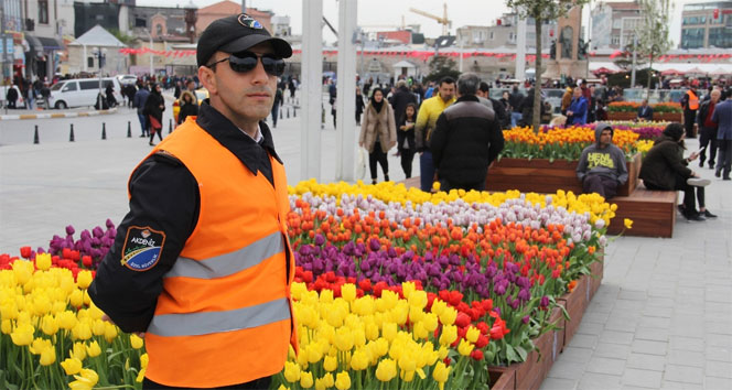 Taksim Meydanı’ndaki laleler koruma altında