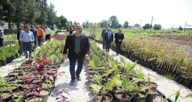Adana’ya macera temalı botanik park