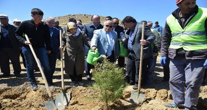 Şehit Polis Gökhan Ünaldı için hatıra ormanı oluşturuldu