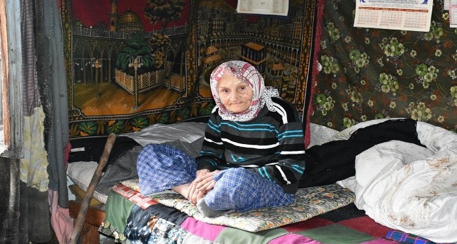 (Özel Haber) Tosya’da sokağa terkedilen yaşlı kadına kaymakam sahip çıktı