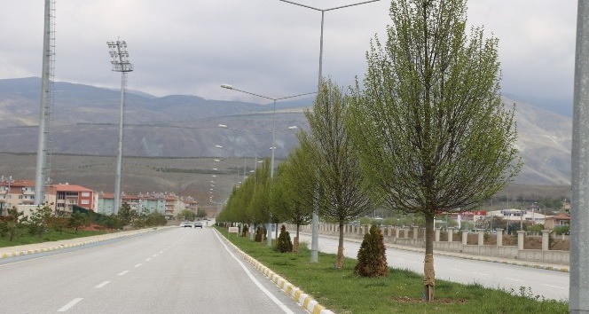 Erzincan’da ağaçlandırma çalışması