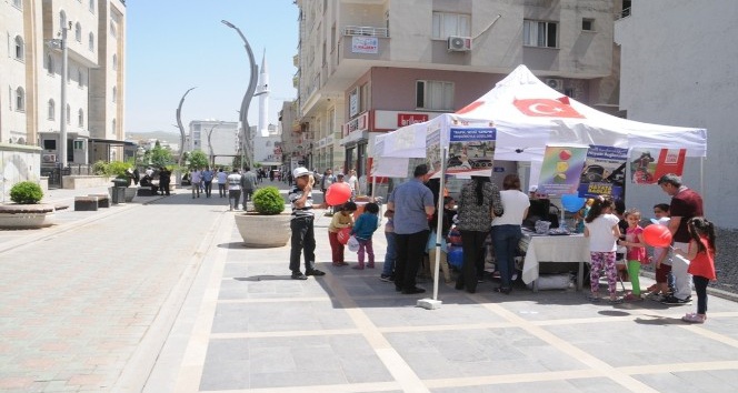 Cizre’de Sevgi Sokağında trafik bilgilendirme standı açıldı