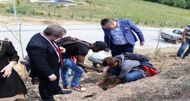 Edirne’de uluslararası öğrenciler fidan dikti