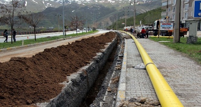 Bitlis’te doğalgaz çalışmaları devam ediyor