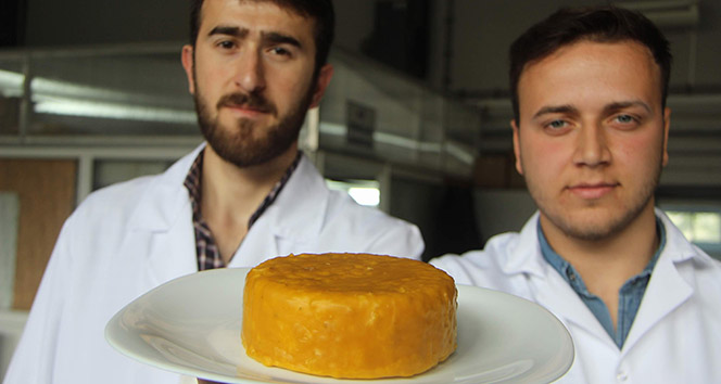 Peynirin doğal yollarla raf ömrünü uzatacak formülü buldular