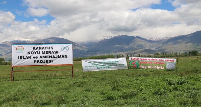 Karatuş Köyü merası otlatmaya açıldı