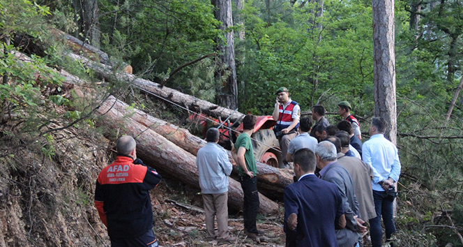 Üzerine ağaç devrilen orman işçisi hayatını kaybetti