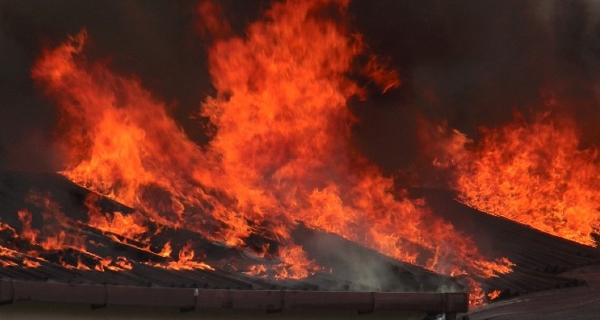 Birleşik Arap Emirlikleri’nin kurucusunun çiftliğinde yangın çıktı