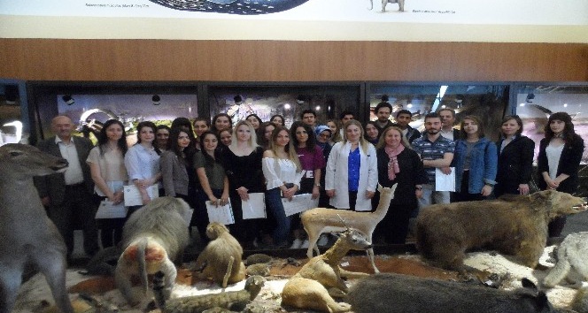 Zooloji Müzesi’nden tuvale yansıyanlar