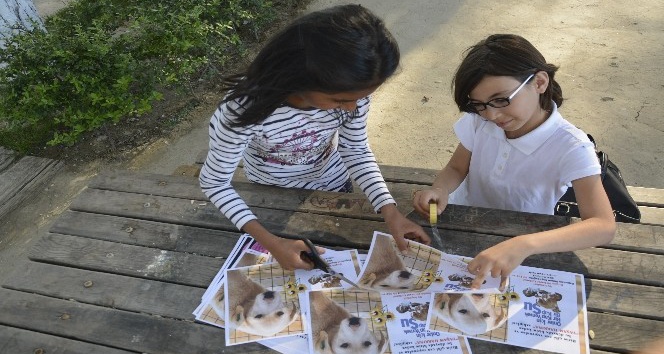3 kız arkadaşın hayvanlar için yaptığı afişler takdir topladı