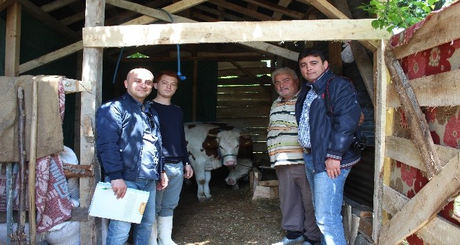 Süt sığırcılığı 19 aileye iş kapısı oldu