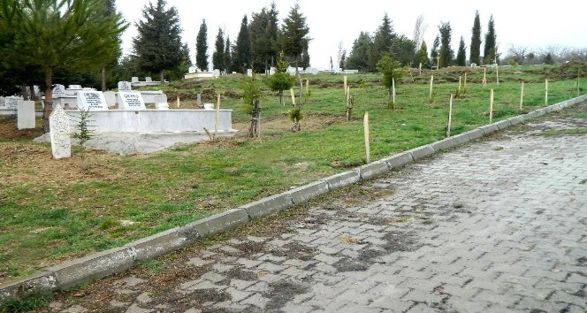 Kütahya’da 8 mezarlığa 4 bin 433 adet fidan dikildi
