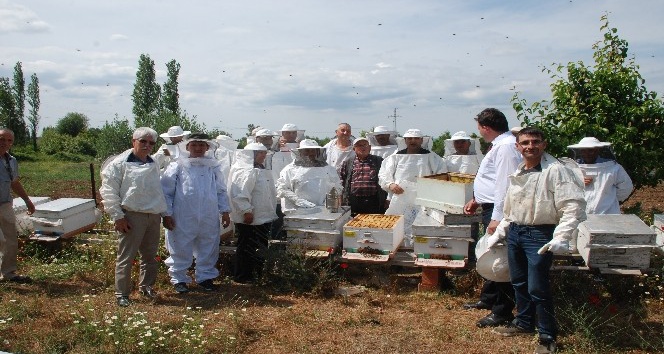 Bayramiç’te ana arı üretim kursu açıldı