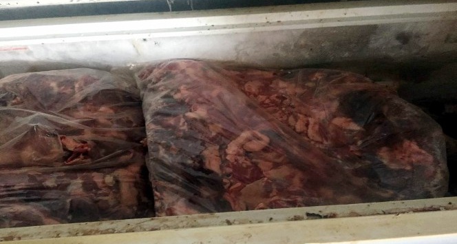 Aydın’da 5 ton kaçak domuz eti yakalandı