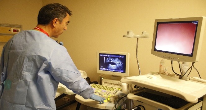 Endoskopik Ultrasonografi pankreasta detaylı görüntüleme sağlayacak