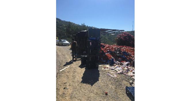 20 ton domates yüklü tır devrildi