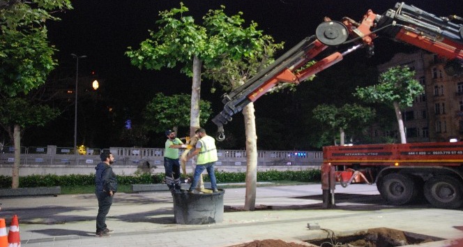 Taksim Meydanı ağaçlandırma çalışmaları sona erdi