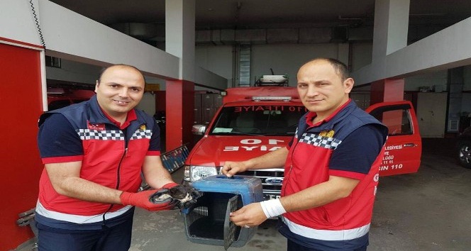 Aracın motoruna giren yavru kediyi itfaiye kurtardı