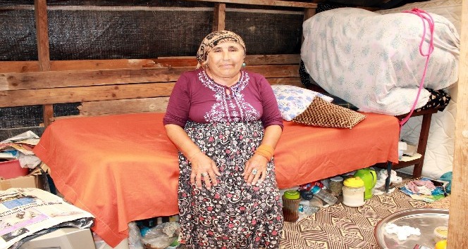 60 yaşındaki kadın tahta barakada yaşam savaşı veriyor