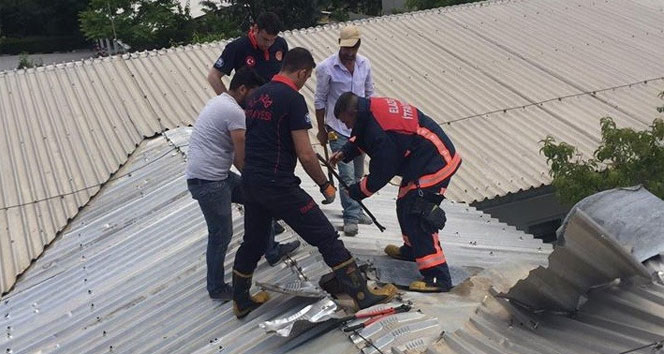 Elazığ&#039;da çatıya sıkışan şahsı itfaiye kurtardı