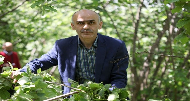 Karan "Fındık TMO’da 10,5 lira, serbest piyasada 9,5 lira"