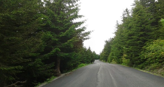 Yayla yolları Yeşil Yol Projesiyle birleştirilmeye devam ediyor