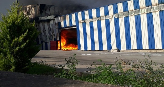 Osmaniye’de kağıt fabrikasında yangın