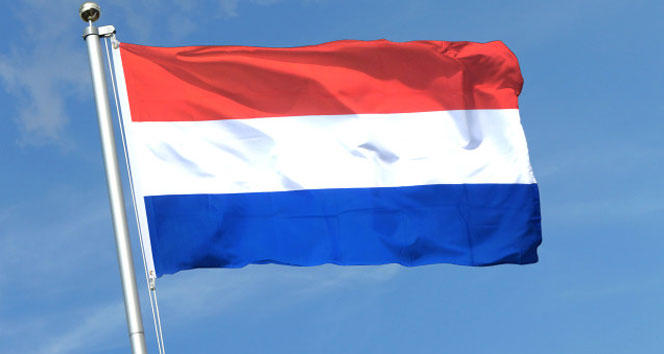 Hollanda&#039;dan Afrin açıklaması!