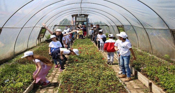 Giresun’da “Lider Çocuk Tarım Kampı” düzenlendi