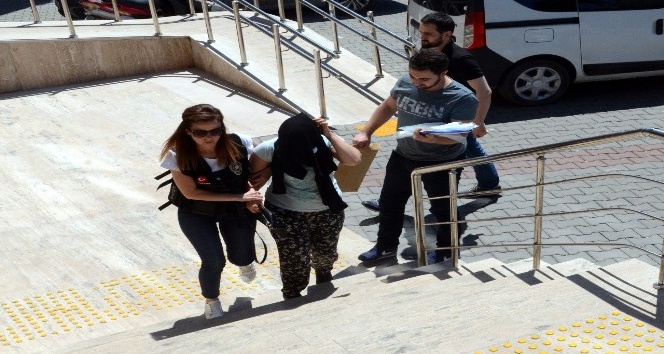 Şampuan kutusundan bonzai ile yakalanan kadın serbest bırakıldı