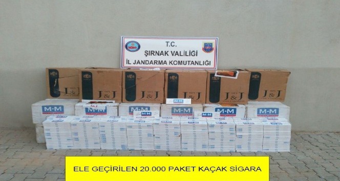 Şırnak’ta 20 bin paket kaçak sigara ele geçirildi