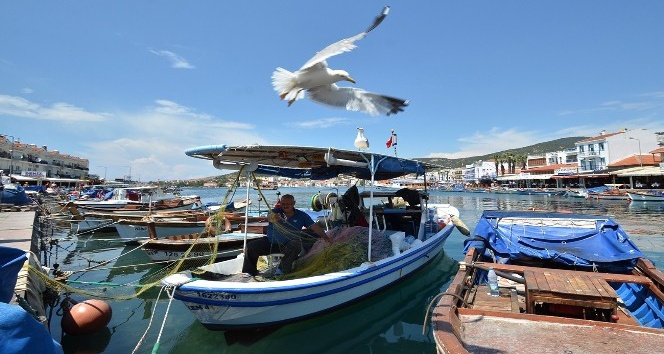 Foça Belediyesi Deniz Öyküleri Ödülü’ne başvurular uzatıldı