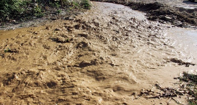 Aydın’da jeotermal su, evlerin ardından tarlaları bastı