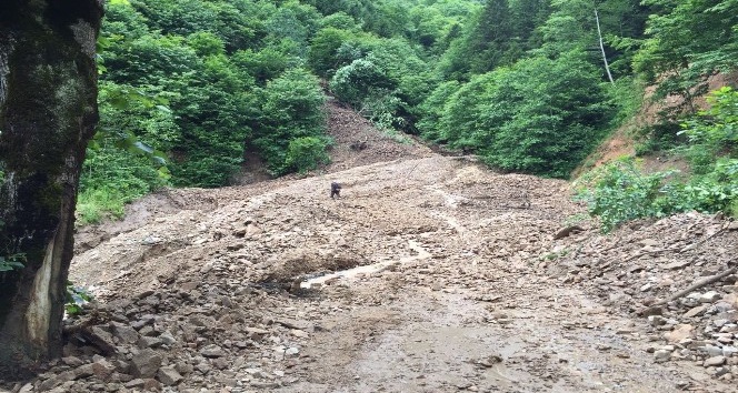 Trabzon’da yağışlar sonrası yaşanan heyelanlara ekipler müdahale ediyor