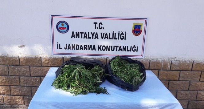 Antalya’da 10 kilogram esrar ele geçirildi