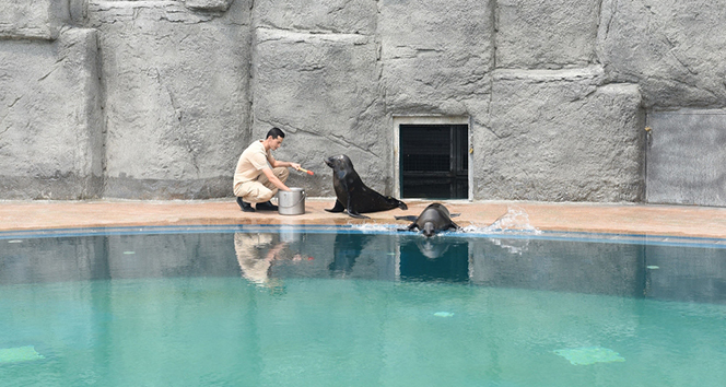 Bursa Hayvanat Bahçesi’nin yeni misafirleri ilgi çekiyor