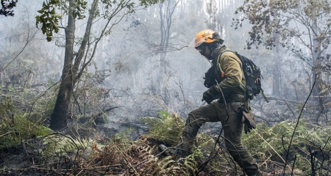 İspanya’da orman yangını| Bin 500 kişi evlerinden tahliye edildi