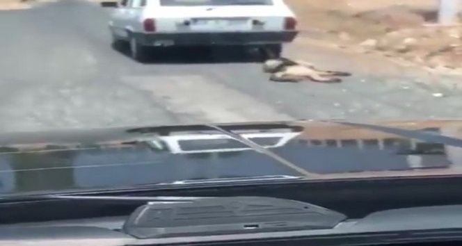 Otomobilin arkasına bağlanıp sürüklenen köpek kurtarıldı