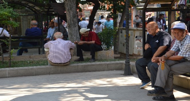 Sıcaklardan bunalan soluğu parkta aldı