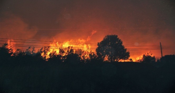 Datça’da yerleşim alanlarını tehdit eden orman yangını kontrol altına alındı
