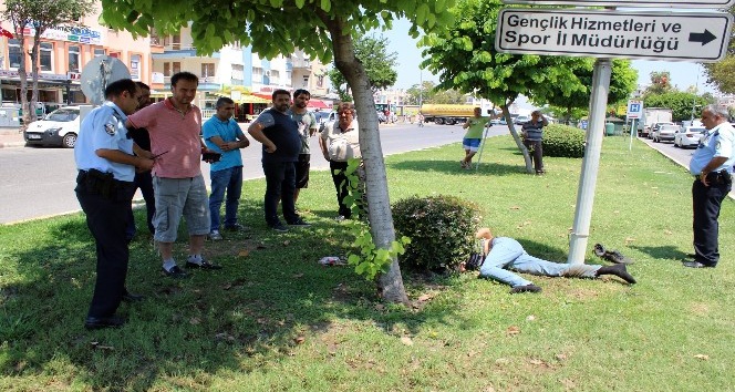 Antalya’da bonzai kullanan genç krize girdi