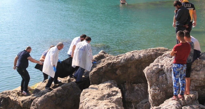 Denizde erkek cesedi bulundu |Zonguldak haberleri
