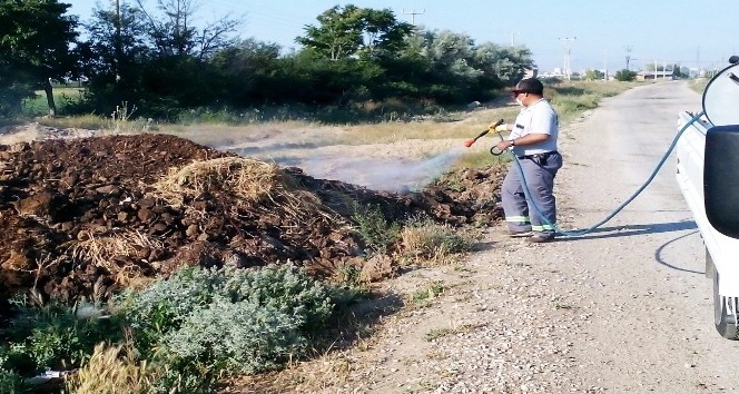 Karaman’da haşere ile mücadele