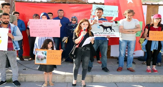 Yozgat’ta hayvan severler yeni yasa tasarısını protesto etti