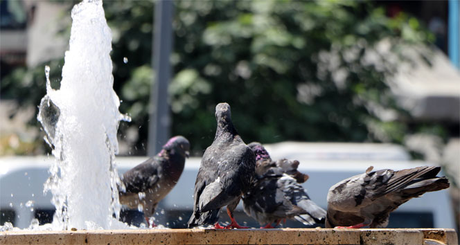 İstanbul’da kavurucu sıcaklar etkisini sürdürüyor