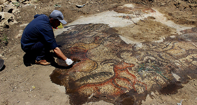 Çiftçinin bulduğu 1600 yıllık mozaik gün yüzüne çıkıyor